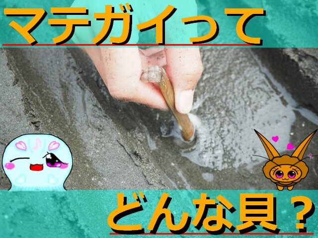 Thumbnail of post image 058